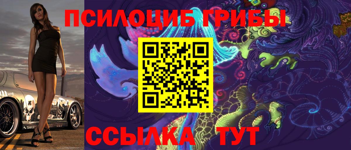 Псилоцибиновые грибы GOLDEN TEACHER Тобольск