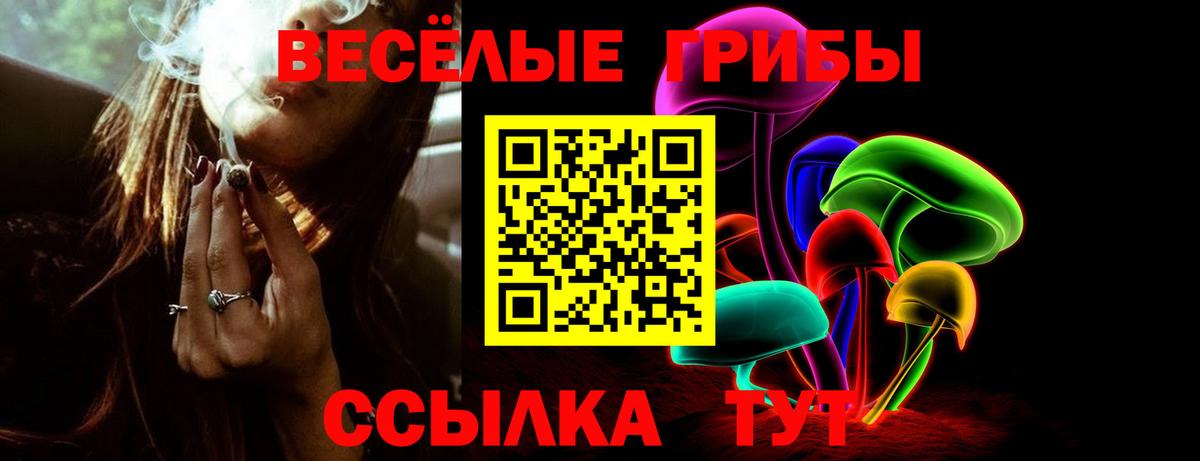 Псилоцибиновые грибы Magic Shrooms  Вход с VPN  Псилоцибиновые грибы прущие грибы  Тобольск 